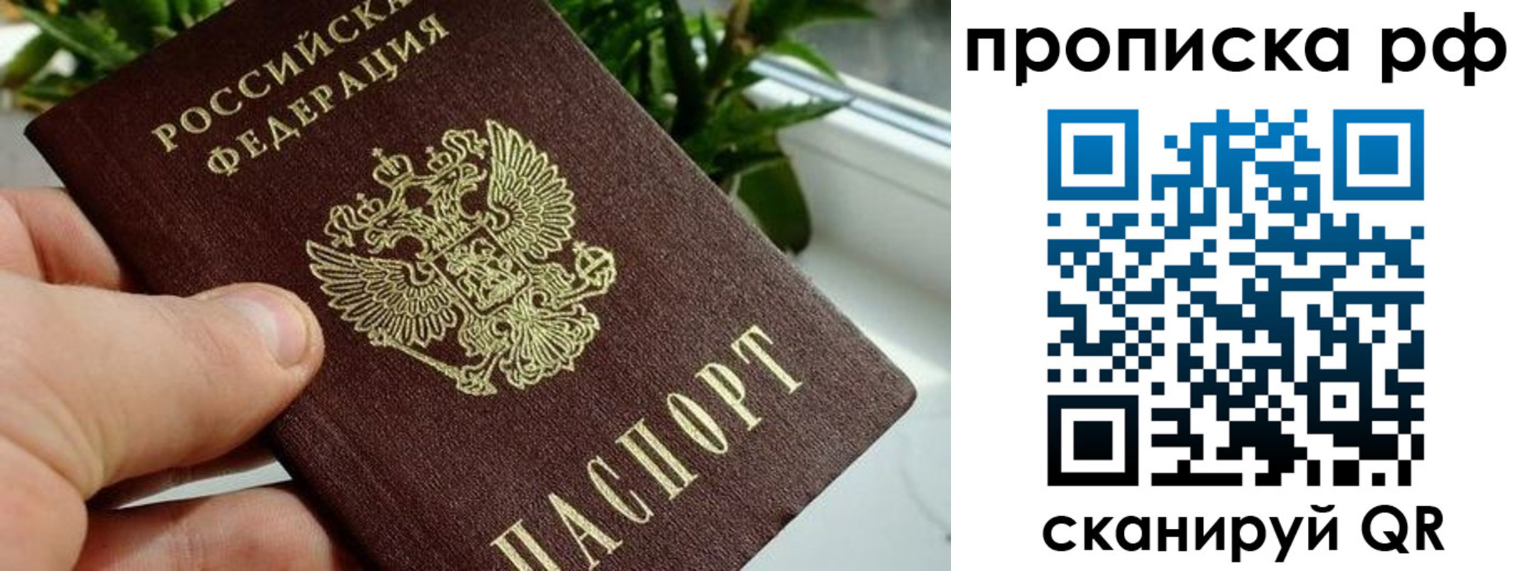 временная регистрация госуслуги в Люберцах